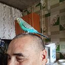 ���� ����, ������-���, 58 ��� - ��������� 17 ����� 2026