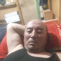 , 44, 