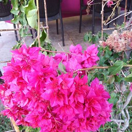 ���� �����, ���������, 64 ���� - ��������� 16 ������� 2023