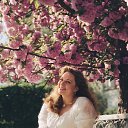 ���� ��������, �����-��������� - ��������� 4 ���� 2025 � ������ ���� ����������