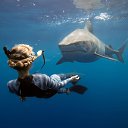 ���� �����, ������ - ��������� 9 �������� 2025 � ������ ���� ����������