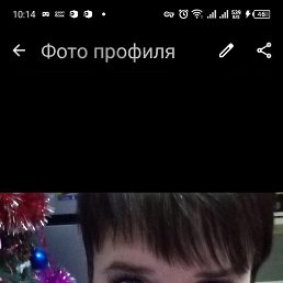 , 48, 