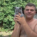 ���� ��������, �������, 48 ��� - ��������� 25 ������� 2024 � ������ ���� ����������