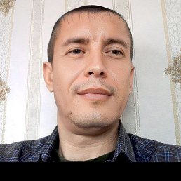 , 37, 