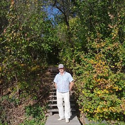 ���� ��������, �������, 51 ��� - ��������� 15 ������� 2025