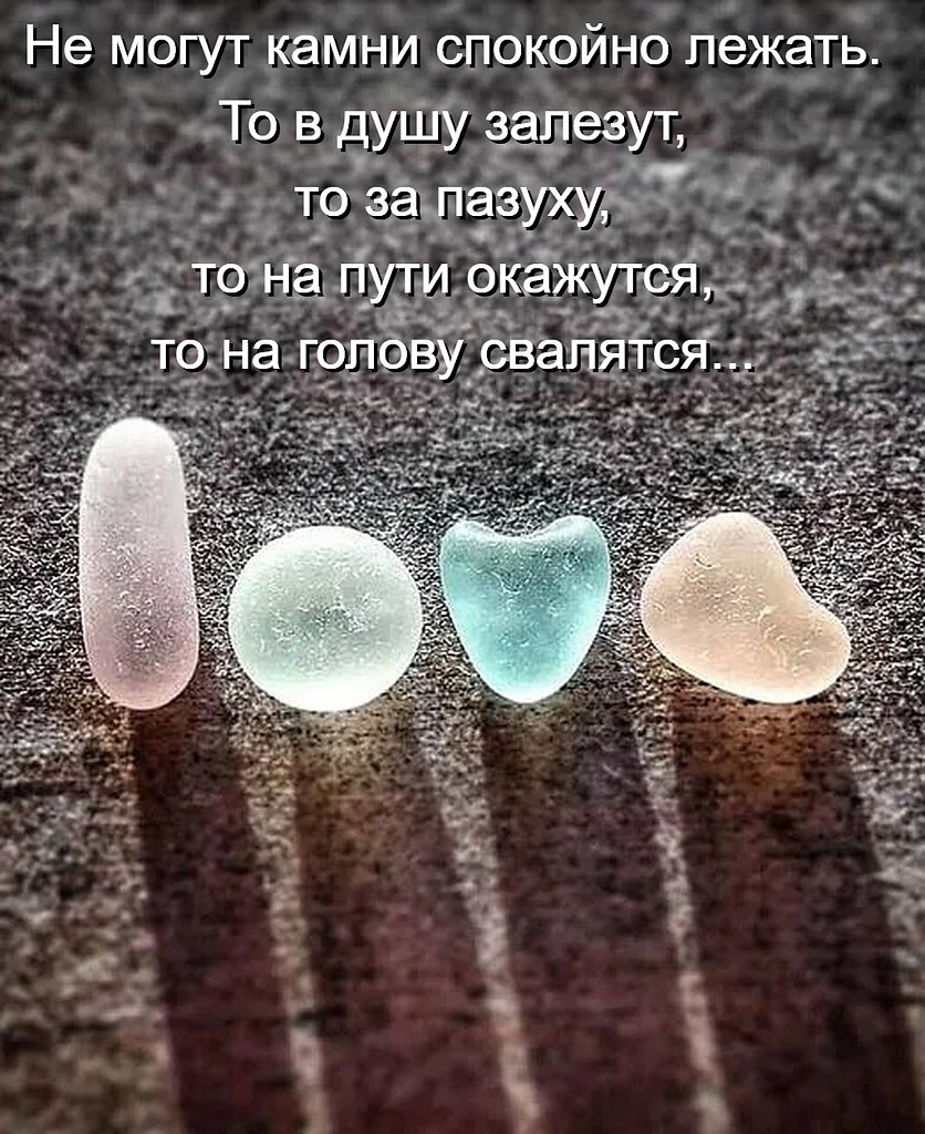 �������� ������ - 20 ��� 2026 � 08:16