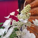  , , 67  -  26  2025     !!!