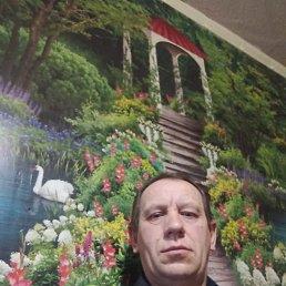 , 53, 