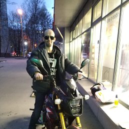 ���� �������, ��������, 38 ��� - ��������� 2 ��� 2024