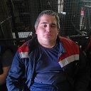 ���� ����� Li, ������, 52 ���� - ��������� 31 ����� 2026 � ������ ���� ����������