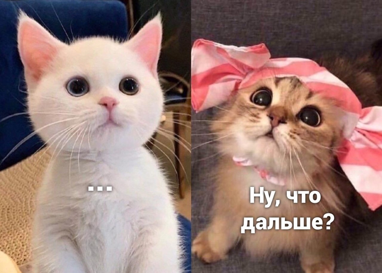 ��� ������ ��� ����� - 2