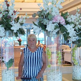 �������, ����, 67 ���