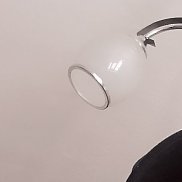 �����, 39 ���, ������