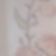 �������, 72 ����, �����