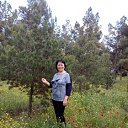 ���� ������, ������ - ��������� 27 ����� 2024 � ������ ���������� ������