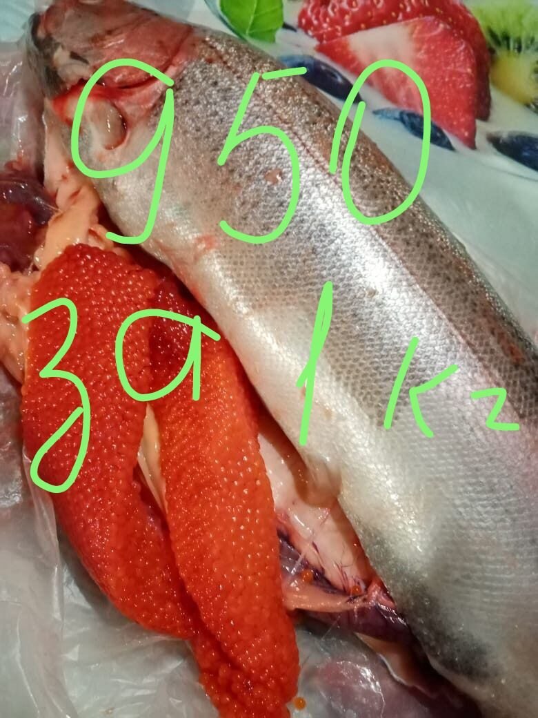 ����� - 2 ����� 2024 � 13:00 - 2