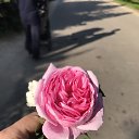 ���� �����, �������, 42 ���� - ��������� 14 ������ 2023 � ������ ���� ����������