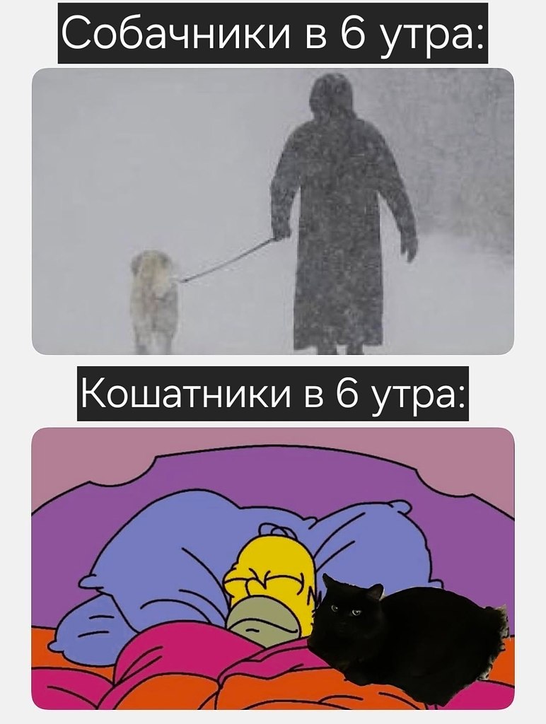 ����