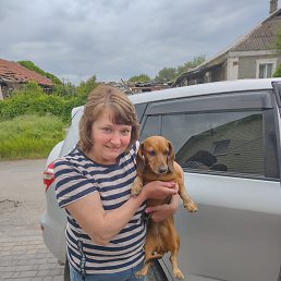 , 50, 