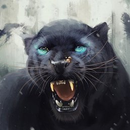 �����, �����-���������, 63 ����