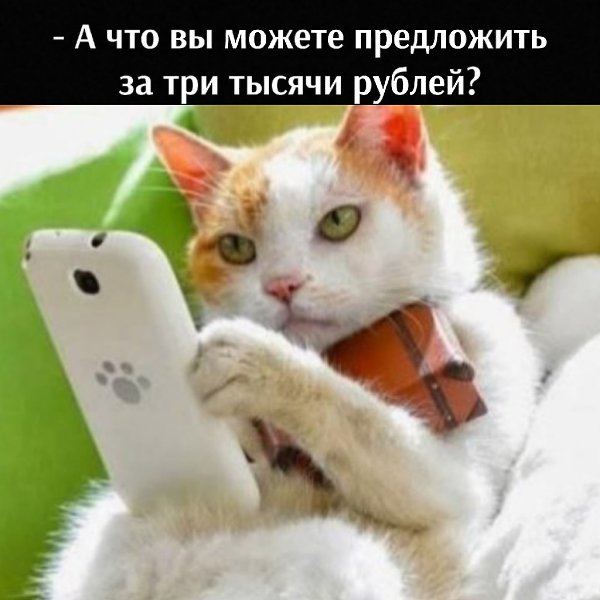 ��� ���� � ����� �� �� - 13 ������� 2025 � 18:33 - 3