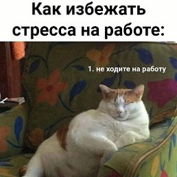 ����, ������, 20 ���