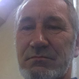 ��������, ����, 65 ���