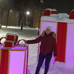 ���� ��������, ������������, 54 ���� - ��������� 25 ������ 2026