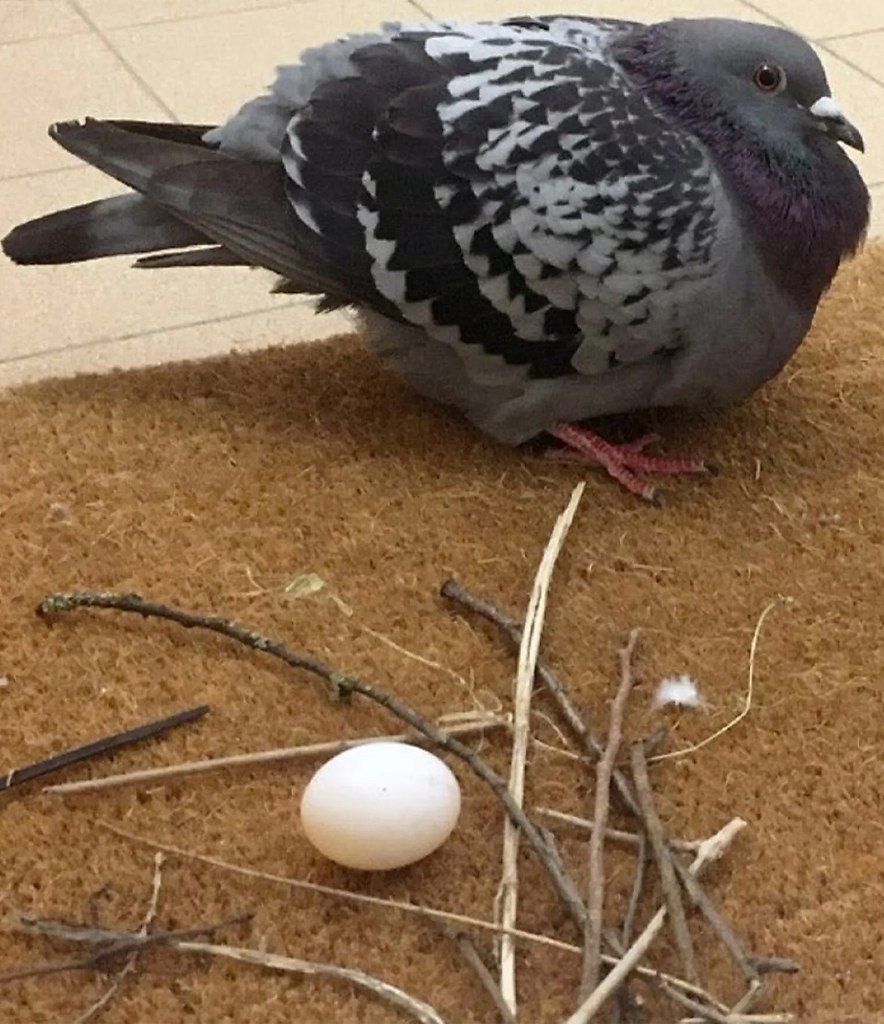 ����� ���� ����� �������� ������ ���������� �������� ������������ � ���������� �������� ... - 3