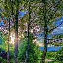 ���� ������, ����, 44 ���� - ��������� 28 ������� 2024 � ������ ���� ����������