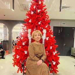 ���� ���������, ���������� �����, 52 ���� - ��������� 13 ������ 2026