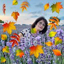 ���� Alexandra, ���!, 25 ��� - ��������� 2 ������� 2025 � ������ ���� ����������