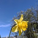 ���� �����, ����������, 44 ���� - ��������� 4 ��� 2024 � ������ �������