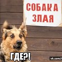 ���� ������, ������, 25 ��� - ��������� 22 ���� 2026 � ������ ���� ����������
