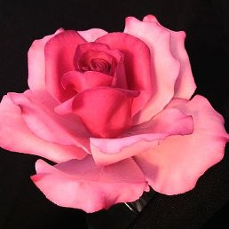 ����, ������