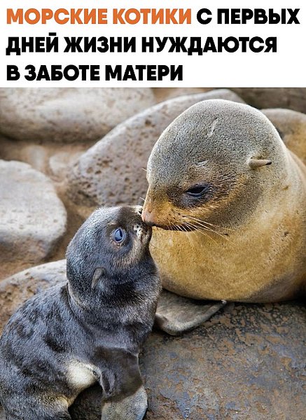������� ������� ������� � �������� ��������� ������� �� ������ � � ������. ������, ������� ...
