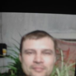 ������, 48 ���, ��������