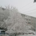 ���� ������, ���������� - ��������� 3 ������ 2024 � ������ ������ ��������