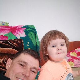 , 44, 
