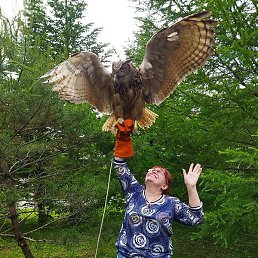 ����������, �����������, 63 ����