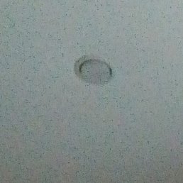 ������� ����������, ������, 41 ���