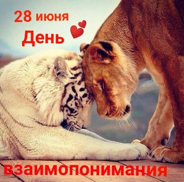 28 ���� ���� ���������������.������ ����� ���� � ����� ����� ������� � ������� �� ������������� ...