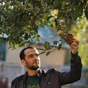 ���� �����, �����������, 32 ���� - ��������� 11 ������ 2023 � ������ ���� ����������