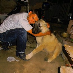 �������, ����������, 45 ���