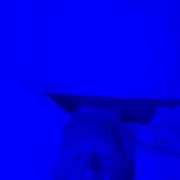 �����, ��������, 55 ���