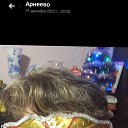 ���� �����, ��������, 55 ��� - ��������� 1 ������ 2023