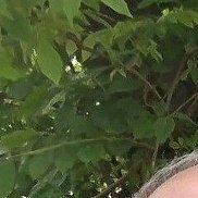 �������, 51 ���, ��������