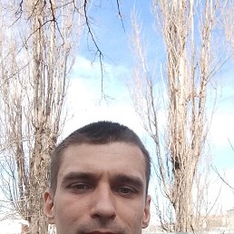 ����, 36 ���, ���������