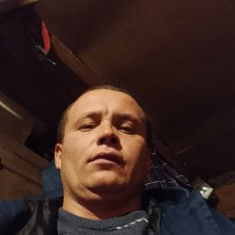 , 34 , 