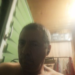 , 52, 
